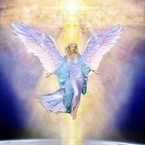 Meet your Posher, Cecilia